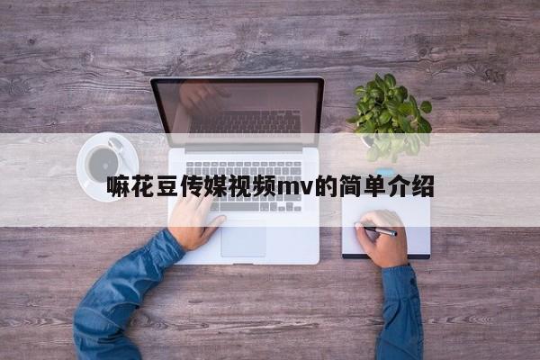嘛花豆传媒视频mv的简单介绍